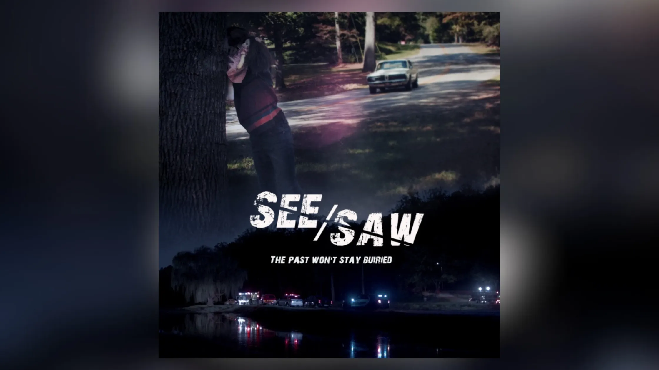 see/saw