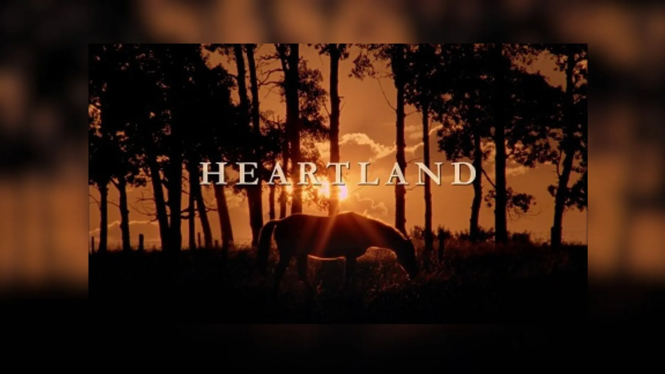 tv-shows-like-heartland