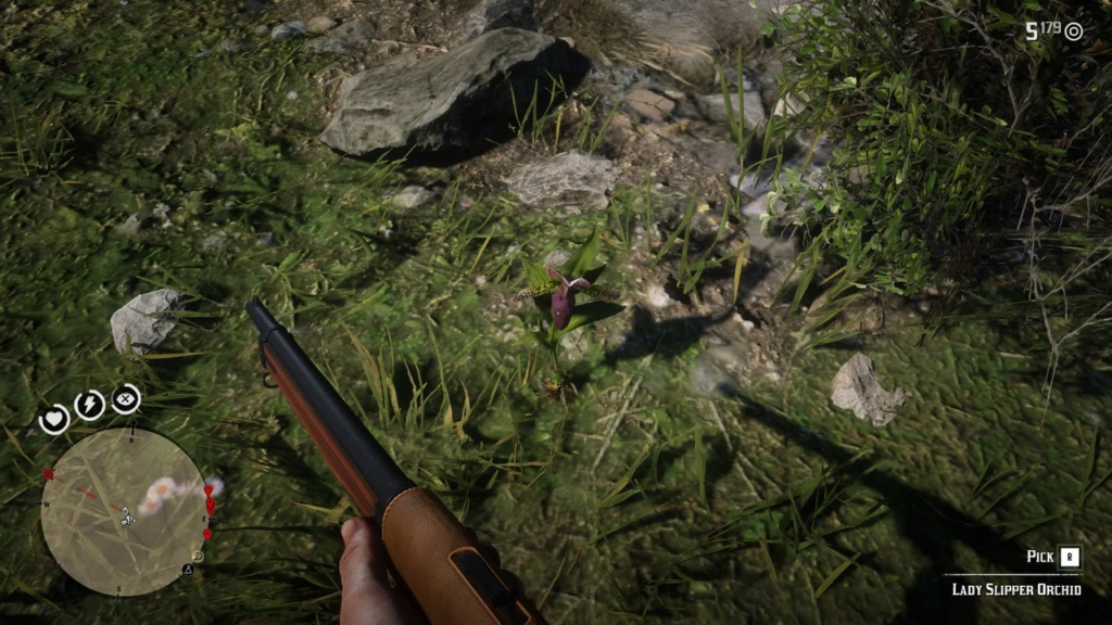 Lady-Slipper-Orchid-RDR2