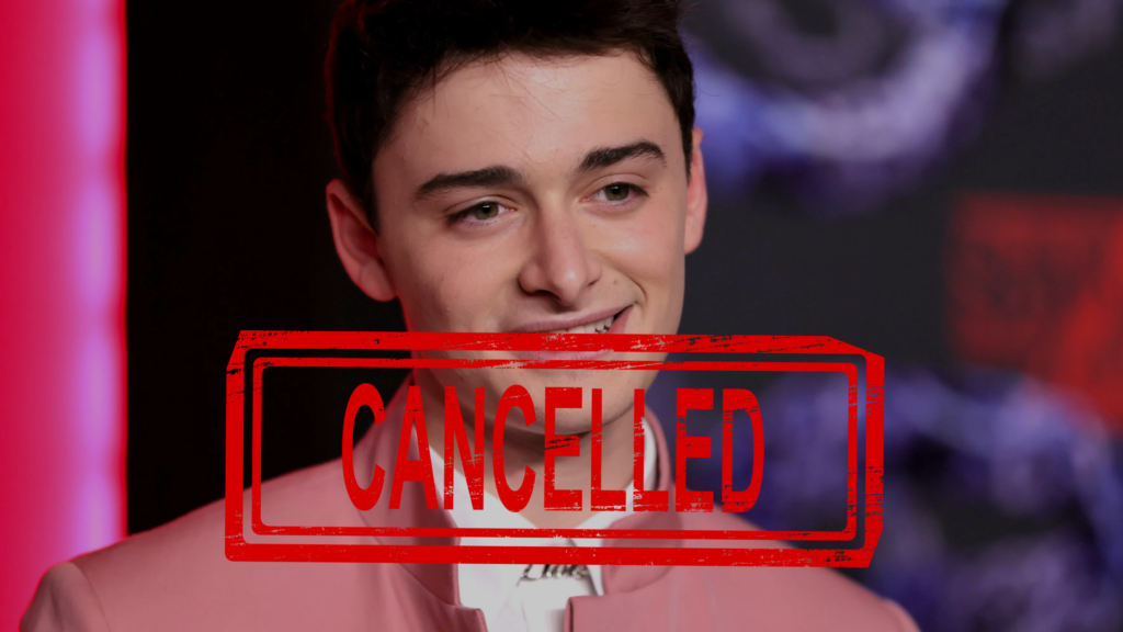 Actor Noah Schnapp Cancelled Controversies Explained